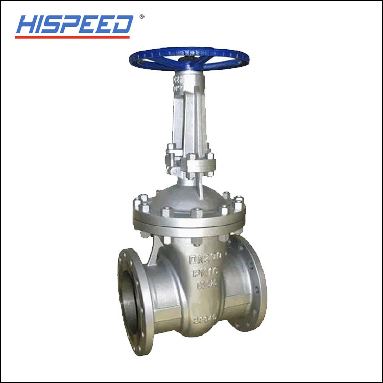 Cast Steel Gate Valve